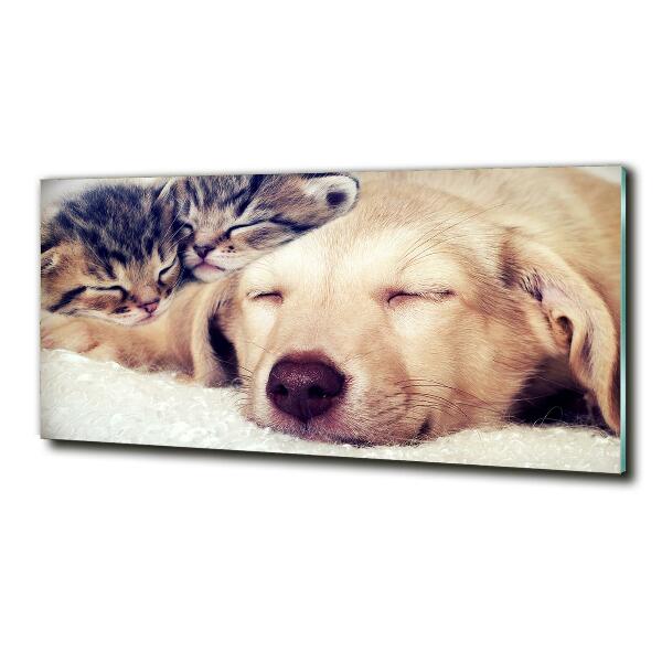 Impresión en cristal con acabado brillante horizontal Cachorros y gatos