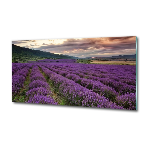 Foto en cristal de alta calidad con impresión uv horizontal campo de lavanda