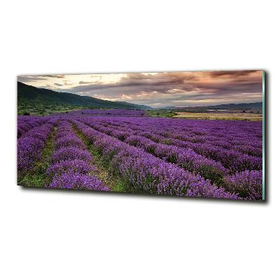 Foto en cristal de alta calidad con impresión uv horizontal campo de lavanda
