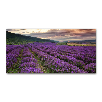 Foto en cristal de alta calidad con impresión uv horizontal campo de lavanda