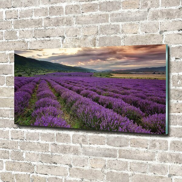 Foto en cristal de alta calidad con impresión uv horizontal campo de lavanda