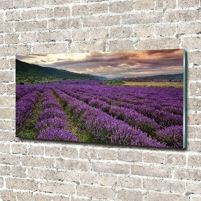 Foto en cristal de alta calidad con impresión uv horizontal campo de lavanda