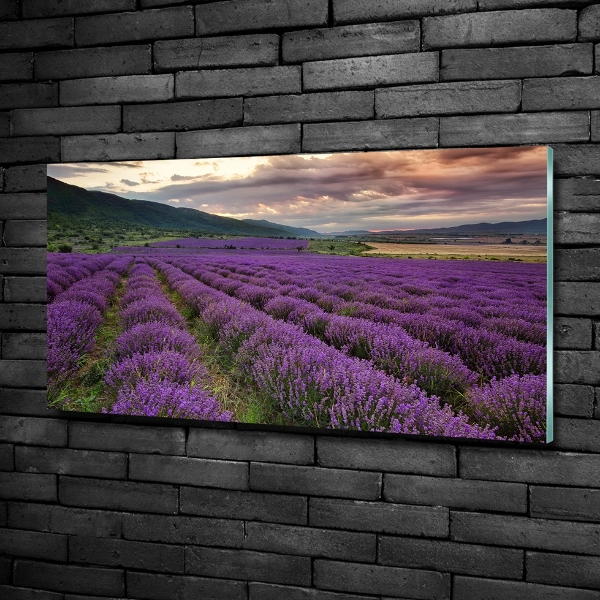 Foto en cristal de alta calidad con impresión uv horizontal campo de lavanda