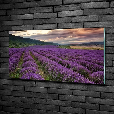 Foto en cristal de alta calidad con impresión uv horizontal campo de lavanda