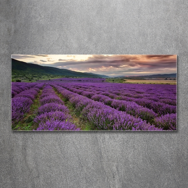 Foto en cristal de alta calidad con impresión uv horizontal campo de lavanda