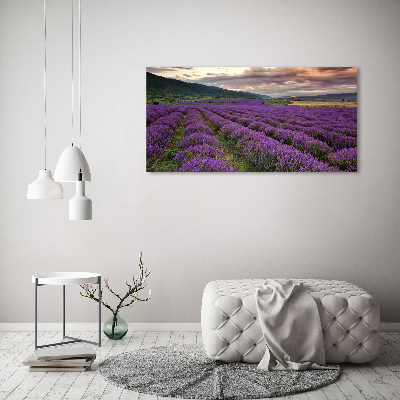 Foto en cristal de alta calidad con impresión uv horizontal campo de lavanda