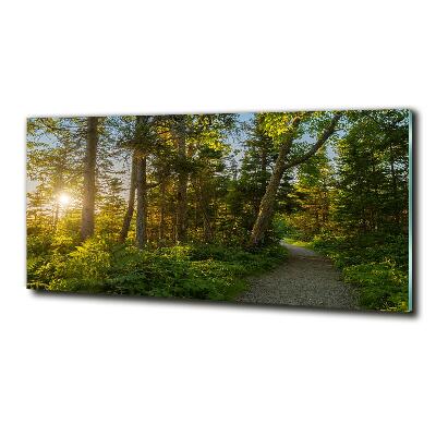 Cuadro decorativo de vidrio para salón horizontal Bosque