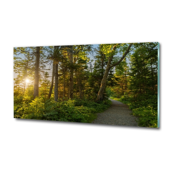 Cuadro decorativo de vidrio para salón horizontal Bosque