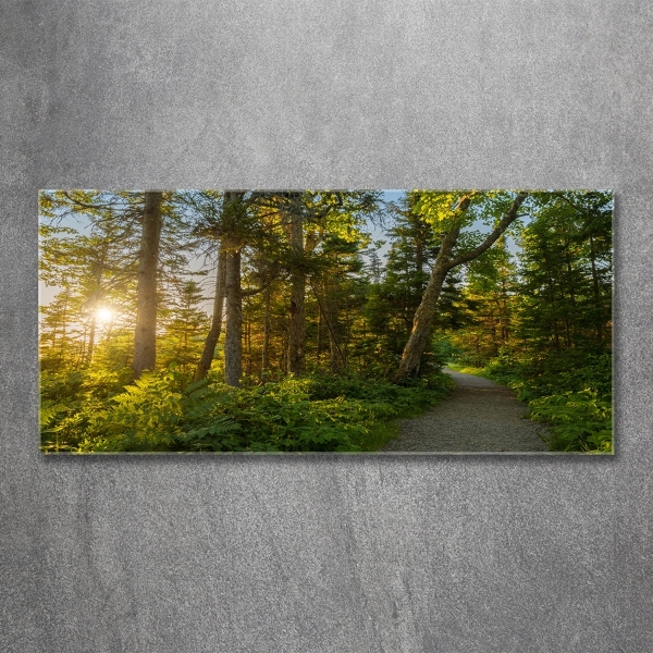 Cuadro decorativo de vidrio para salón horizontal Bosque