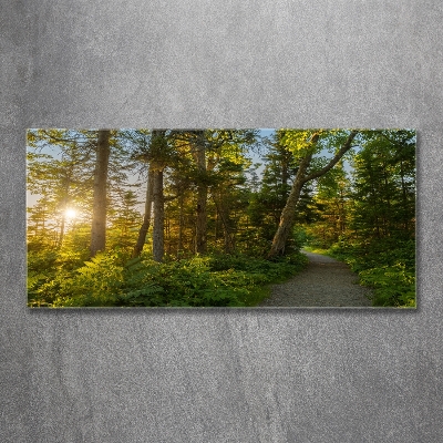 Cuadro decorativo de vidrio para salón horizontal Bosque