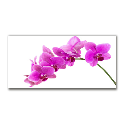Foto en cristal de alta calidad con impresión uv horizontal Orquídea rosa