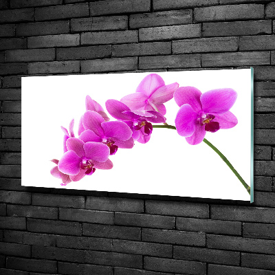 Foto en cristal de alta calidad con impresión uv horizontal Orquídea rosa