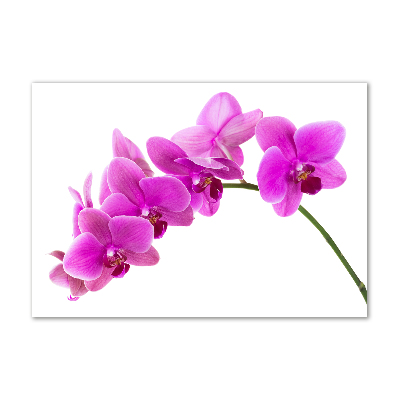 Foto en cristal de alta calidad con impresión uv horizontal Orquídea rosa