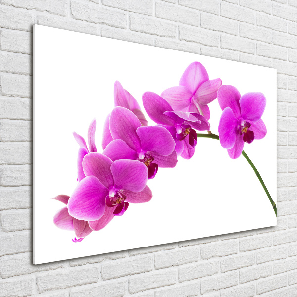 Foto en cristal de alta calidad con impresión uv horizontal Orquídea rosa