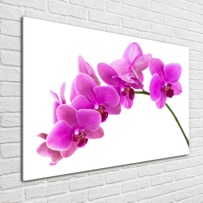 Foto en cristal de alta calidad con impresión uv horizontal Orquídea rosa