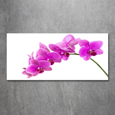Foto en cristal de alta calidad con impresión uv horizontal Orquídea rosa