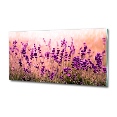 Cuadro decorativo de vidrio para salón horizontal Lavanda