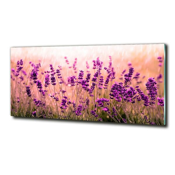 Cuadro decorativo de vidrio para salón horizontal Lavanda