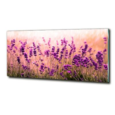 Cuadro decorativo de vidrio para salón horizontal Lavanda