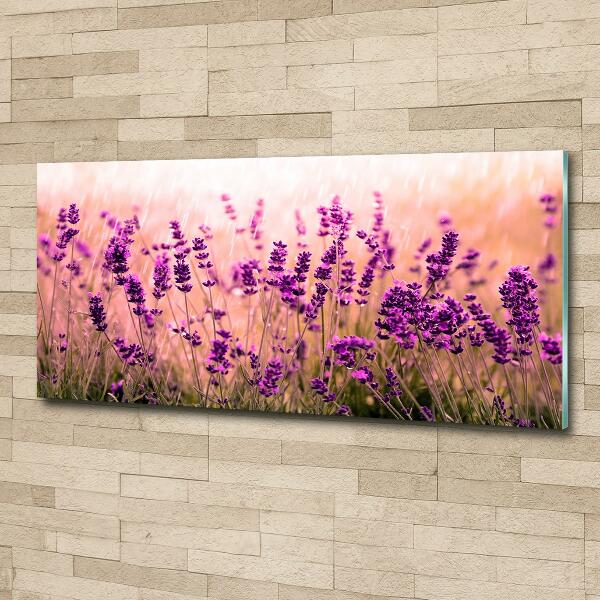 Cuadro decorativo de vidrio para salón horizontal Lavanda