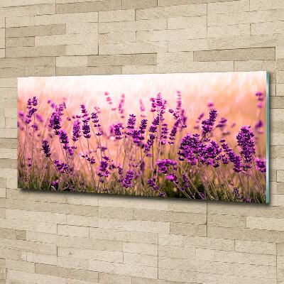 Cuadro decorativo de vidrio para salón horizontal Lavanda