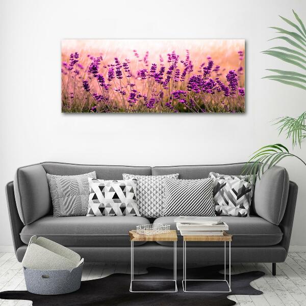 Cuadro decorativo de vidrio para salón horizontal Lavanda