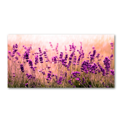 Cuadro decorativo de vidrio para salón horizontal Lavanda