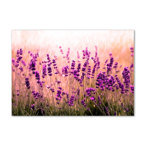Cuadro decorativo de vidrio para salón horizontal Lavanda