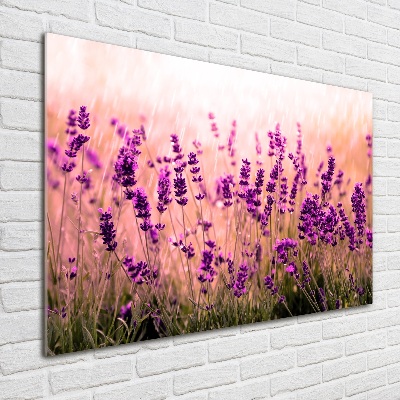 Cuadro decorativo de vidrio para salón horizontal Lavanda