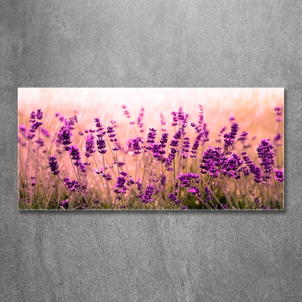 Cuadro decorativo de vidrio para salón horizontal Lavanda