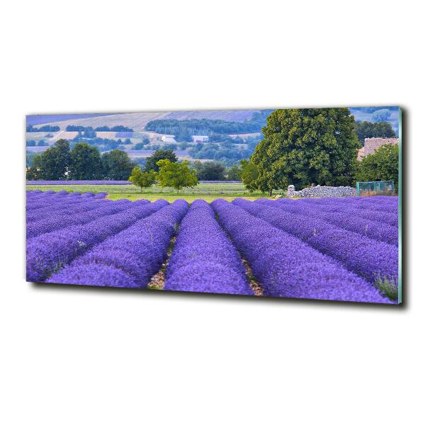 Foto en cristal de alta calidad con impresión uv horizontal campo de lavanda