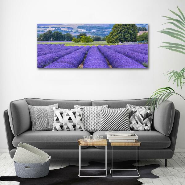Foto en cristal de alta calidad con impresión uv horizontal campo de lavanda