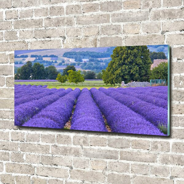 Foto en cristal de alta calidad con impresión uv horizontal campo de lavanda