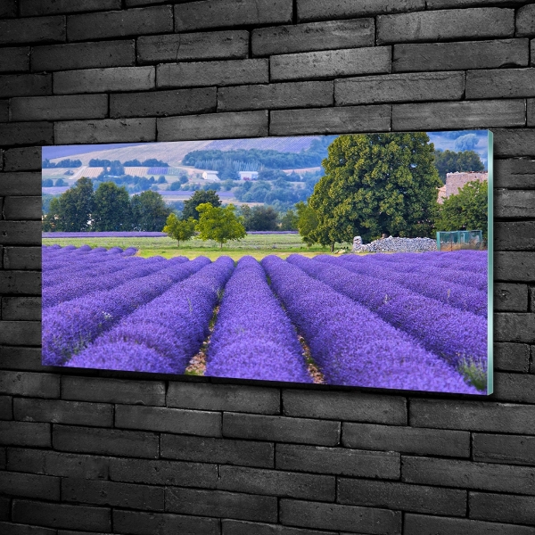 Foto en cristal de alta calidad con impresión uv horizontal campo de lavanda