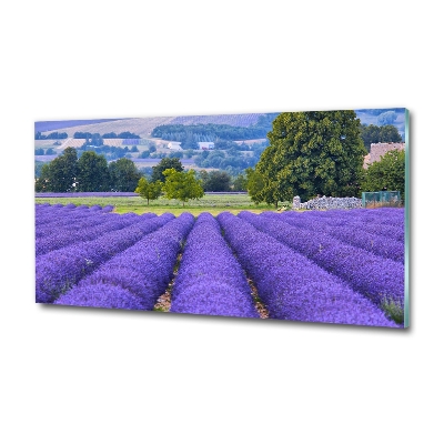 Foto en cristal de alta calidad con impresión uv horizontal campo de lavanda