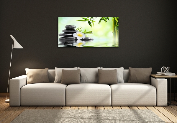 Cuadro de cristal templado moderno horizontal Plumeria y bambú