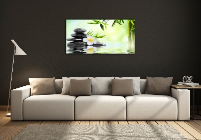 Cuadro de cristal templado moderno horizontal Plumeria y bambú