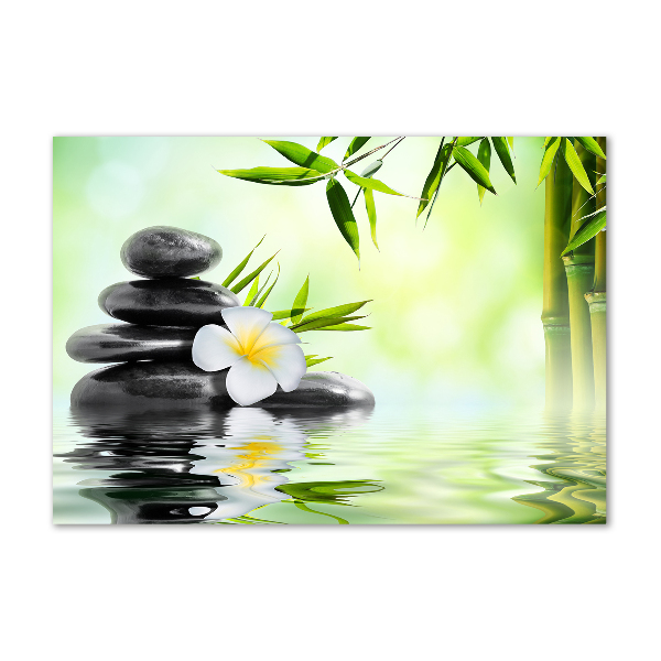 Cuadro de cristal templado moderno horizontal Plumeria y bambú