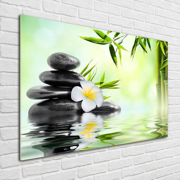 Cuadro de cristal templado moderno horizontal Plumeria y bambú