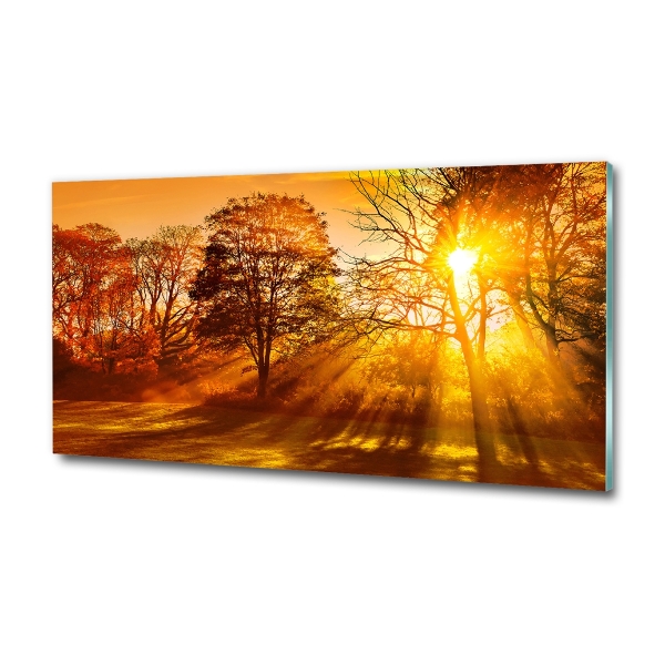 Cuadro decorativo de vidrio para salón horizontal Atardecer
