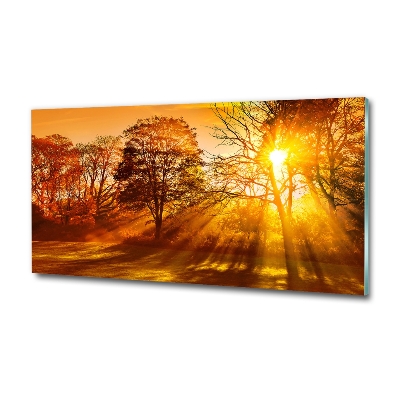 Cuadro decorativo de vidrio para salón horizontal Atardecer