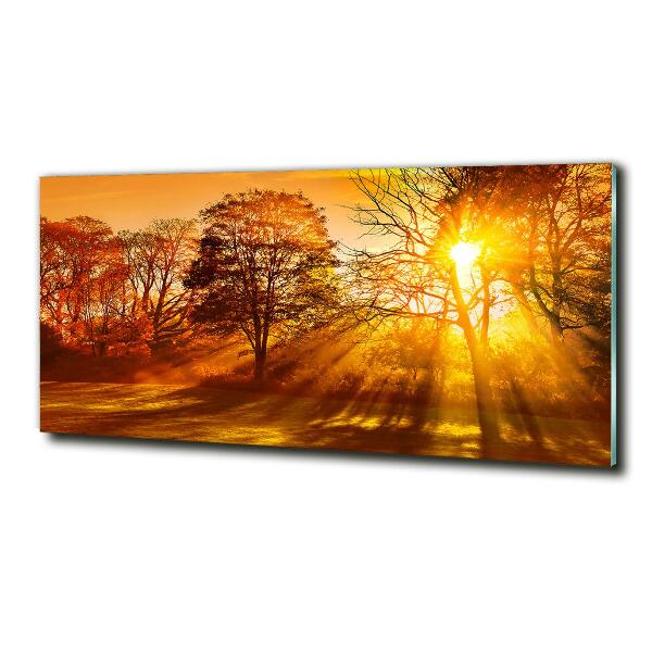 Cuadro decorativo de vidrio para salón horizontal Atardecer