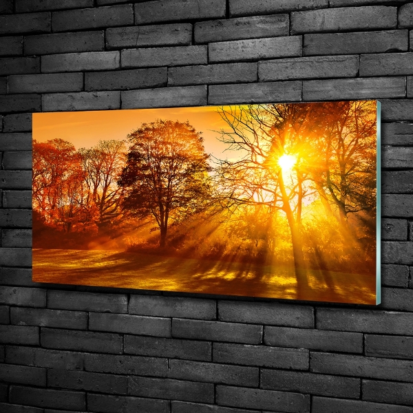 Cuadro decorativo de vidrio para salón horizontal Atardecer