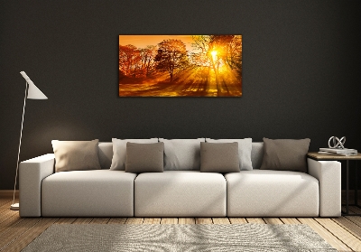 Cuadro decorativo de vidrio para salón horizontal Atardecer