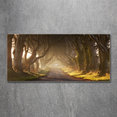 Foto en cristal de alta calidad con impresión uv horizontal Niebla en el bosque