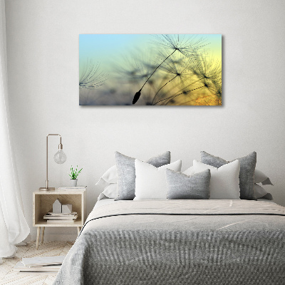 Impresión en cristal con acabado brillante horizontal semillas de diente de león