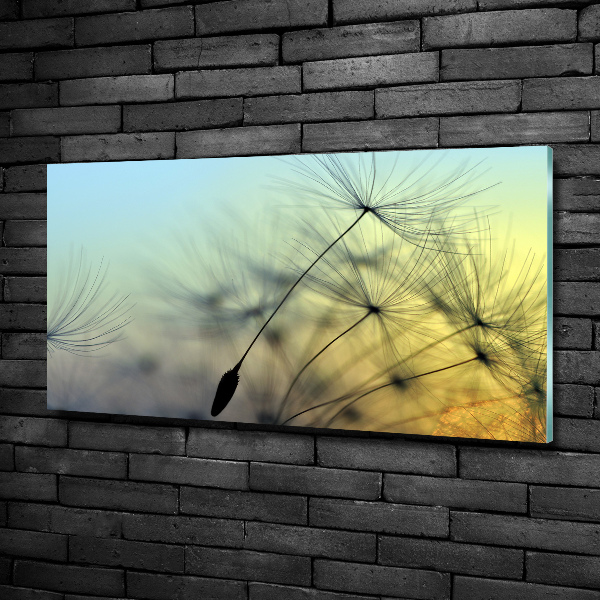 Impresión en cristal con acabado brillante horizontal semillas de diente de león