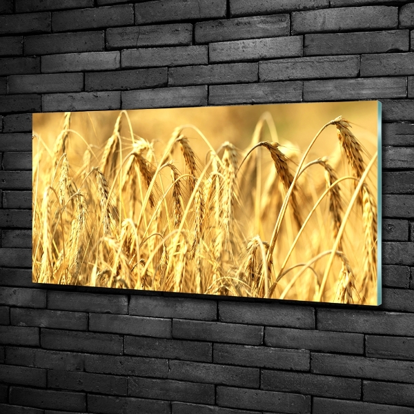 Foto en cristal de alta calidad con impresión uv horizontal Cereal