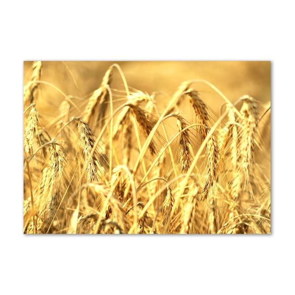 Foto en cristal de alta calidad con impresión uv horizontal Cereal