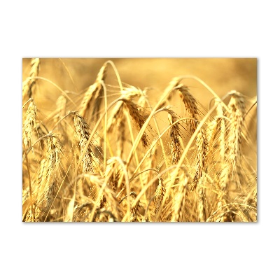 Foto en cristal de alta calidad con impresión uv horizontal Cereal